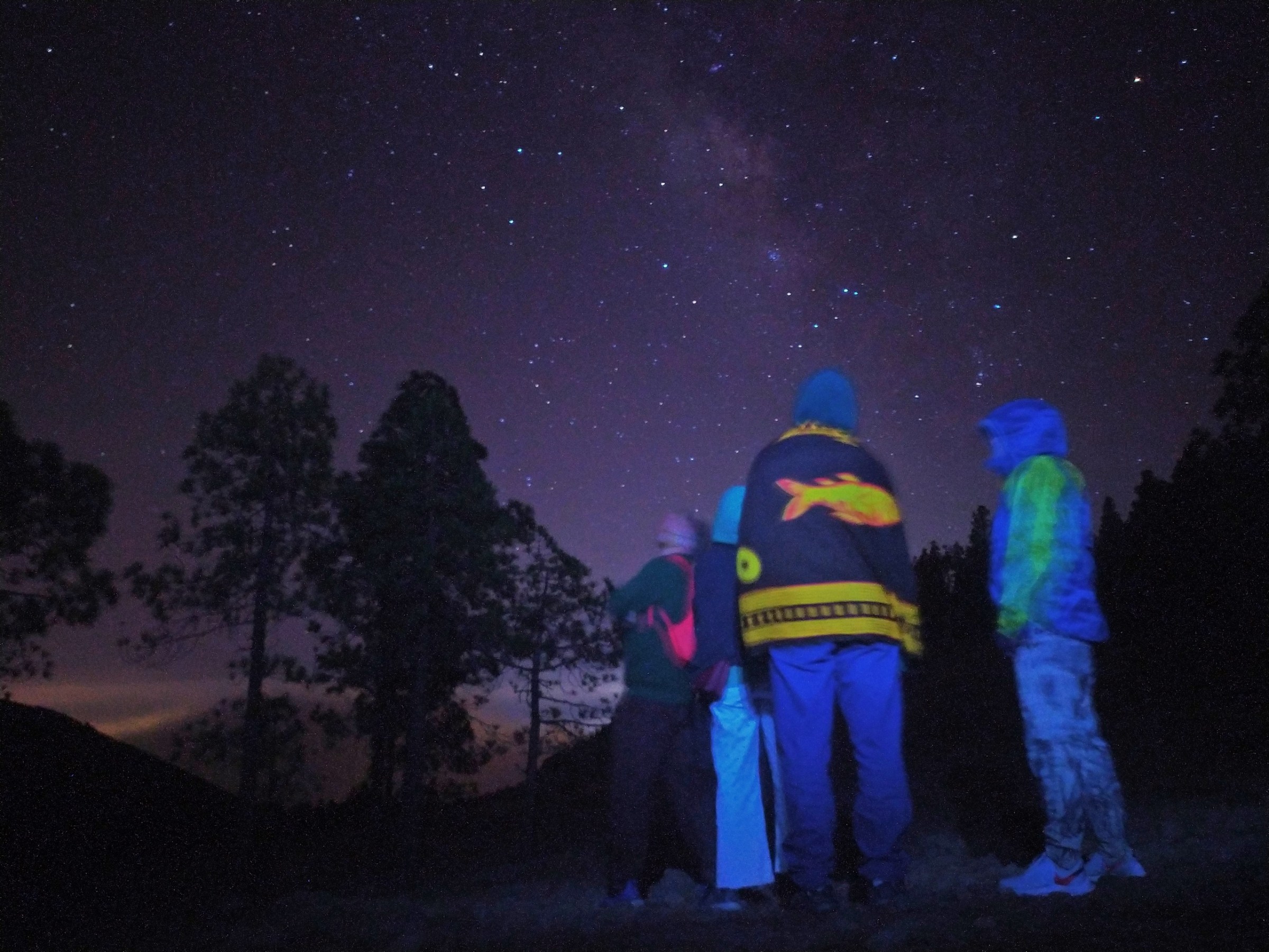 a group of people standing in a dark sky stargazing