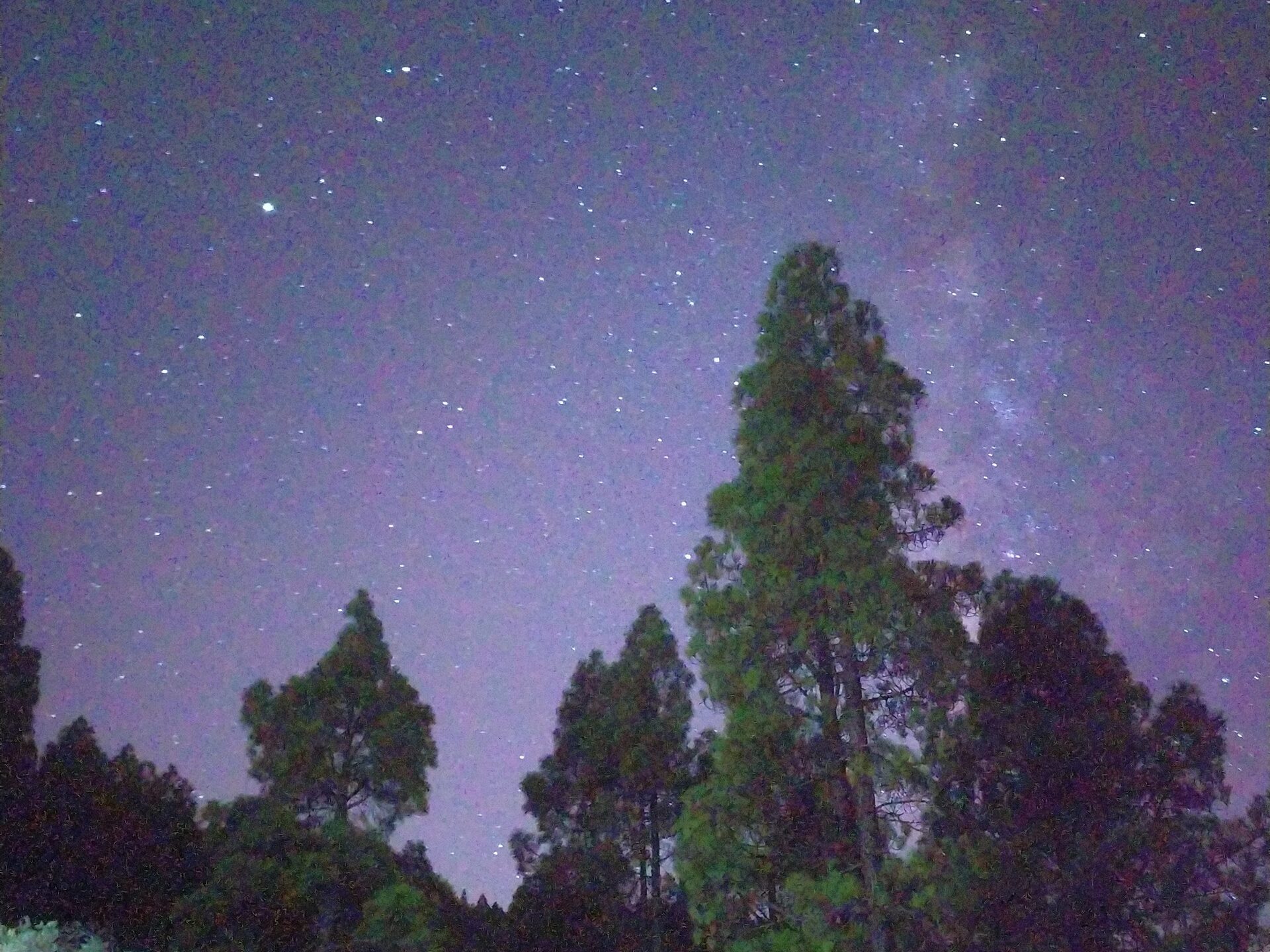 group of people star gazing