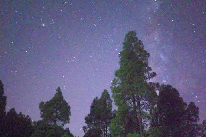group of people star gazing
