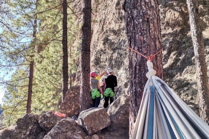 a group of people in a forest