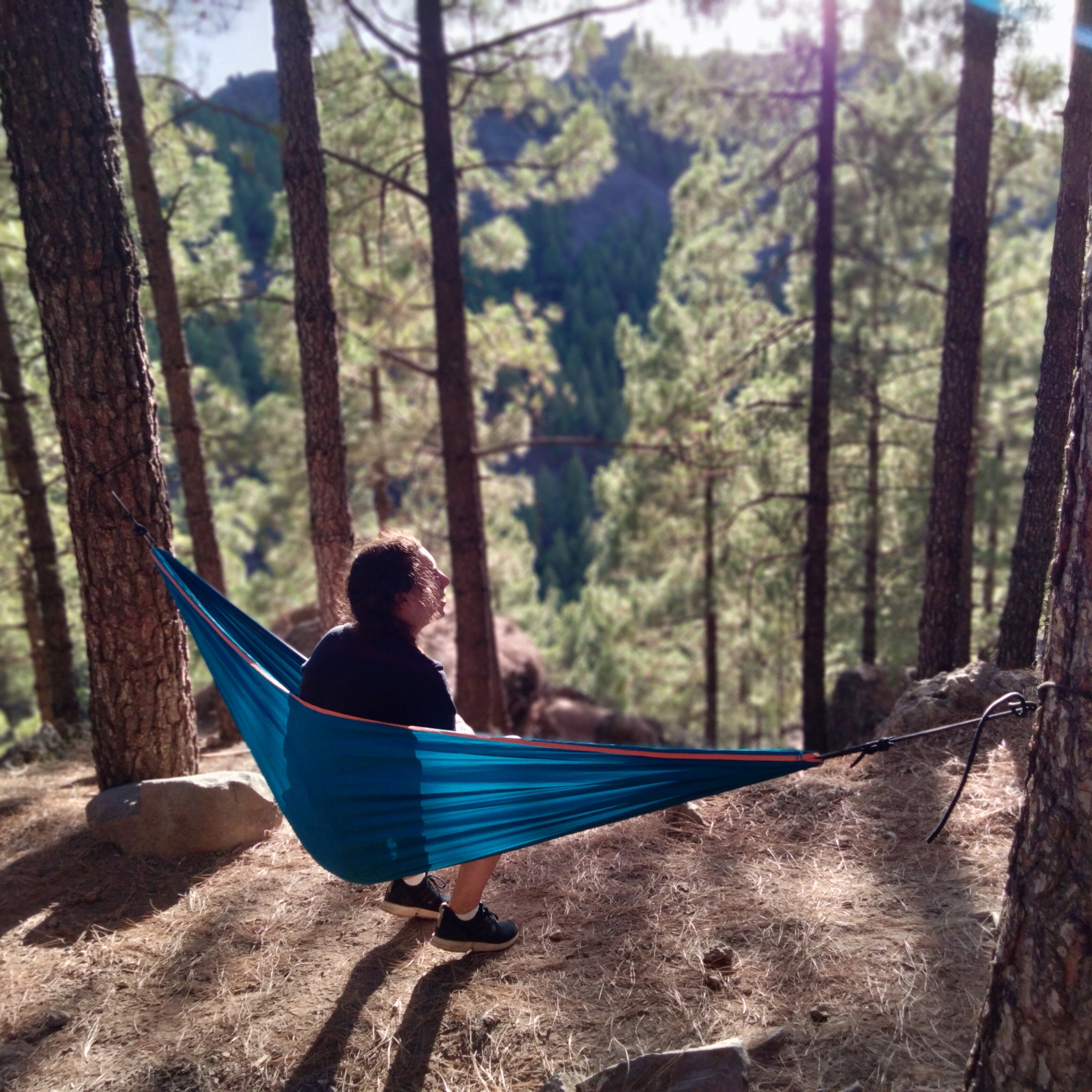 a person sitting on a bench next to a forest