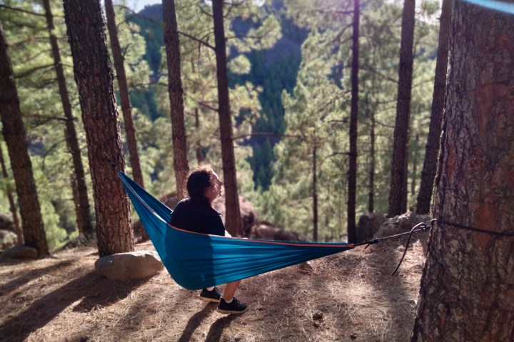 a person sitting on a bench next to a forest
