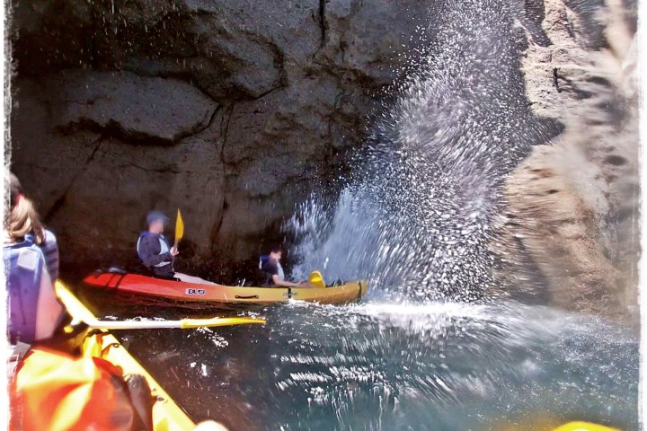 group of people kayaking