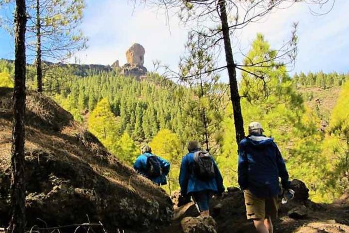 a group of people standing next to a tree