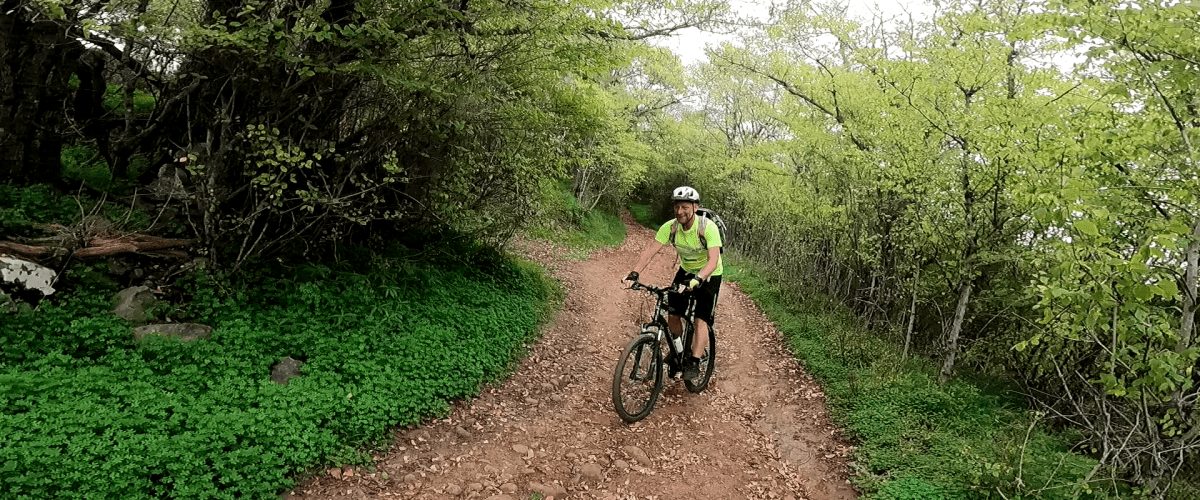 mountain bike tour gran canaria forest descent downhill mountain bike tour gran canaria forest descent downhill