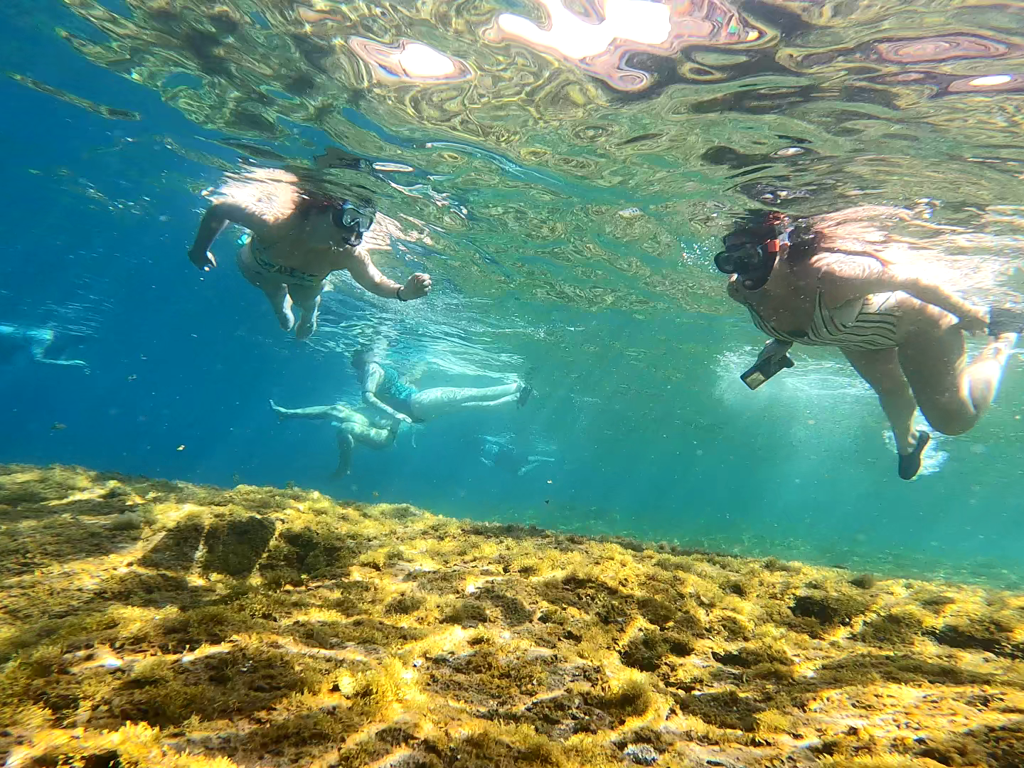 a person swimming in the water