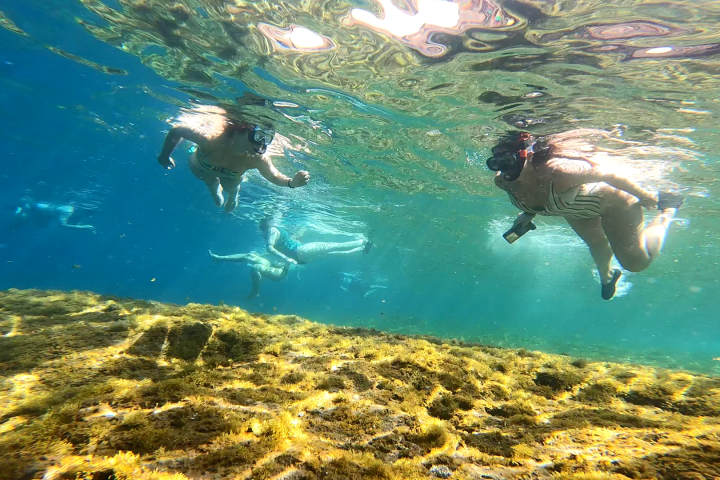a person swimming in the water