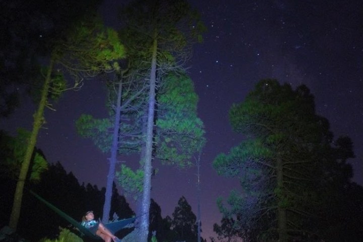 a person in a dark forest